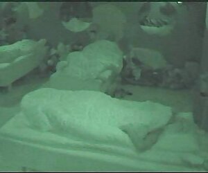 Phoenix chich gai moi lon